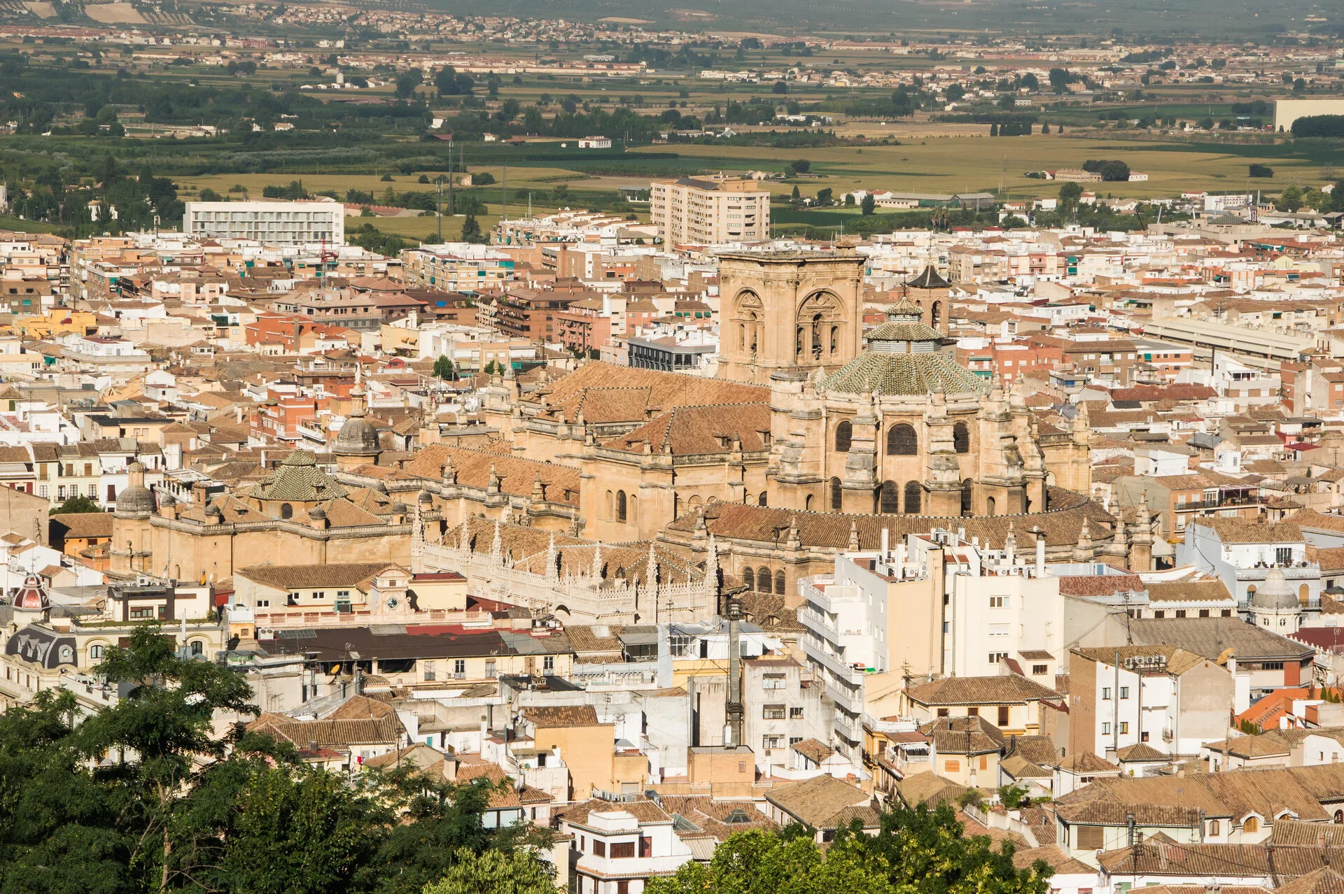 Vista de la Catedral y la Capilla Real entre los tejados de Granada
